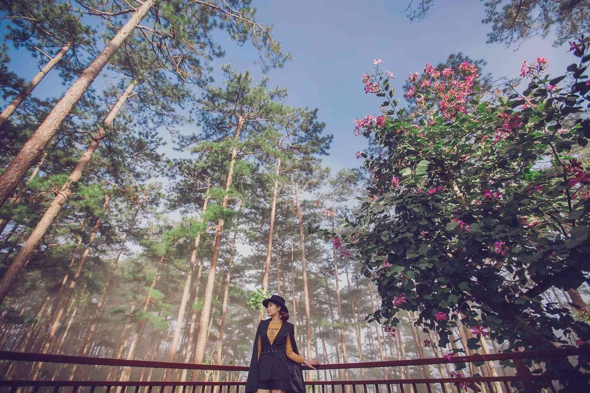 Royal Masions Da Lat Global Vocation Membership 10