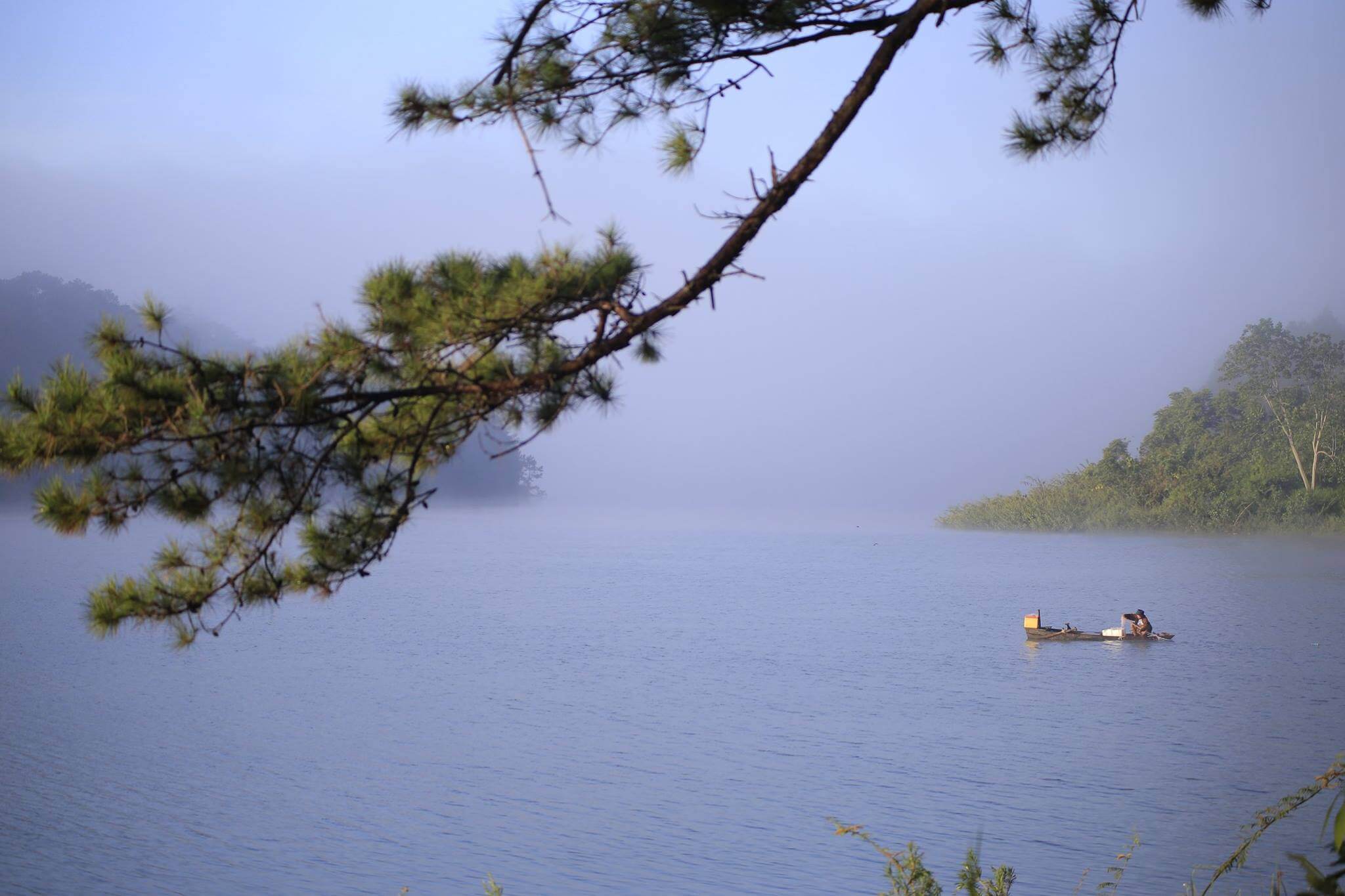 Royal Masions Da Lat Global Vocation Membership 2