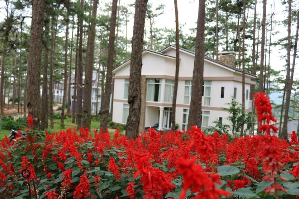 Royal Masions Da Lat Global Vocation Membership 5