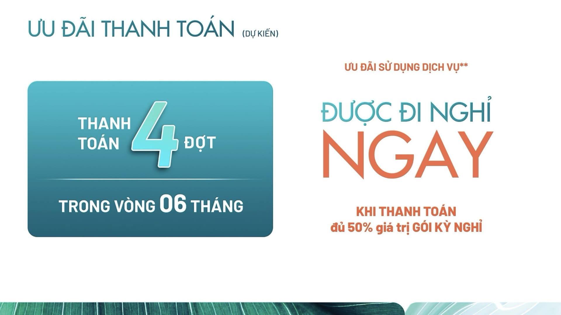 z5289992229619 aeedf456d1c419a2f90d3651527c258c